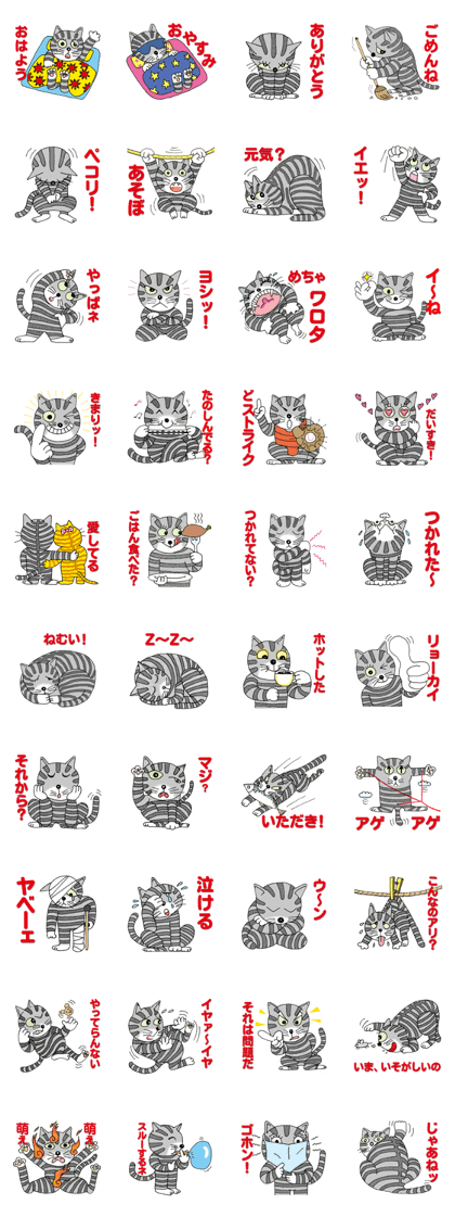 Today's Kotora Feelings of the Kotora
