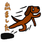 dog 3rd