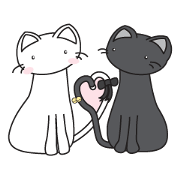 Jasmine and Cosmos