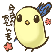 Yellow Java sparrow to tell the weather