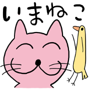 cat of now "IMANEKO"