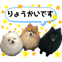小林さんちの犬2 Lineクリエイターズスタンプ Stamplist