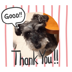 kurumi_20200208193648