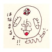 zami the dog 3