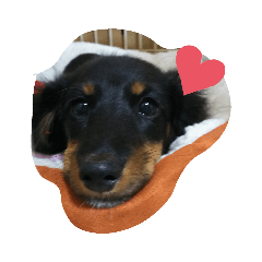 piano_20200209000121