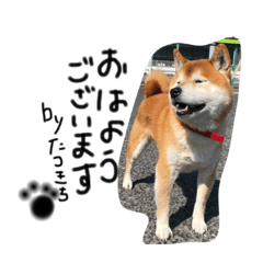 yurina_20200209080923