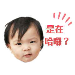 我愛蕎蕎