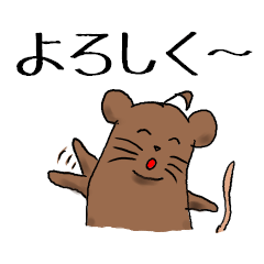 Brown rat, degu