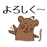 Brown rat, degu