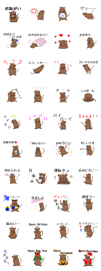 Brown rat, degu