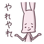 Long rabbit of forehead