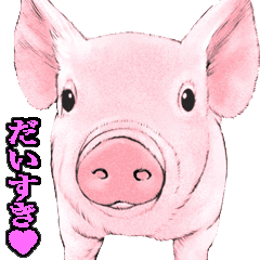 リアル動物アニマルスタンプ Line スタンプ Line Store リアル動物アニマルスタンプ Line スタンプ Line Store