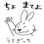 happy and crazy rabbit