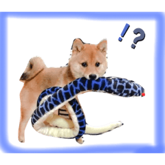 airi.T_20200209124600