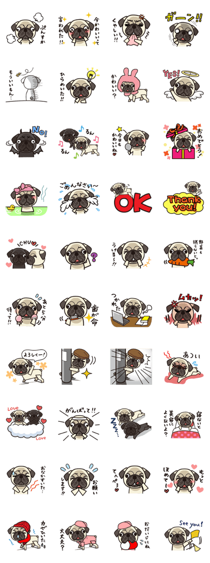 iinu - Pug