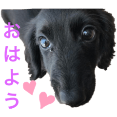 chie_20200209131357