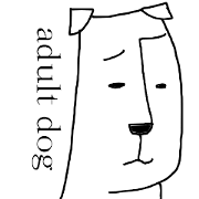 adult dog