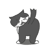 Tai the black and white cat
