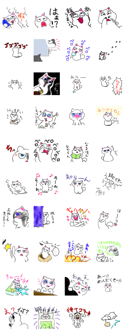 personality bad White cat