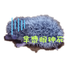 羋漿小刺刺圖