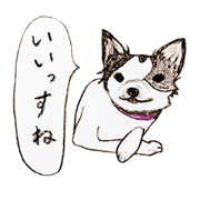cow pattern's dog