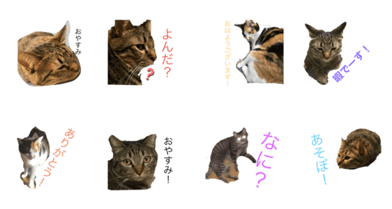 可愛い猫のスタンプ001 Lineクリエイターズスタンプ Stamplist