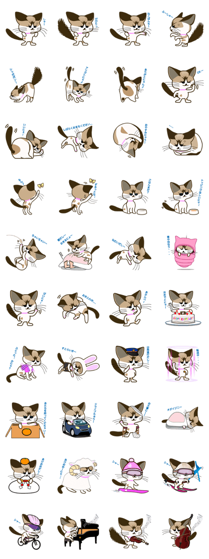 U-ko san, A touchy cat