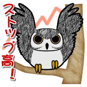 Hoot's Odyssey in Investiment.