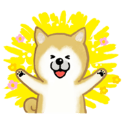 Sticker of Shiba Inu dog