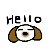 Kotaro of Shih Tzu