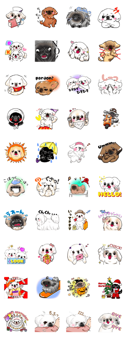 pekingese party!