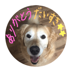 aoi_20200209180133