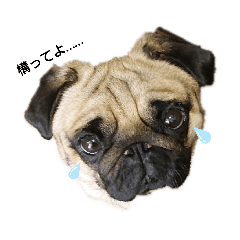 NaNaMi_20200209171302