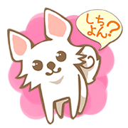 Chihuahua to speak Oita valve Chihuahua to speak Oita valve