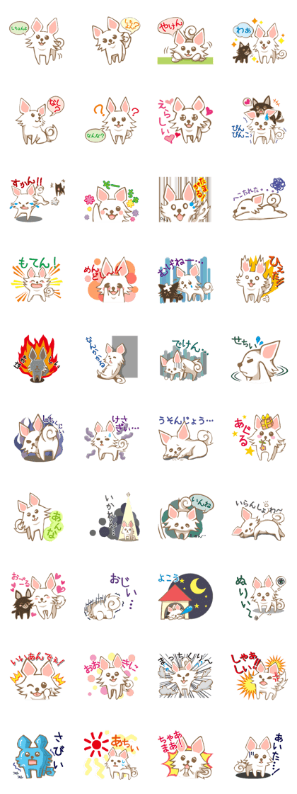 Chihuahua to speak Oita valve Chihuahua to speak Oita valve