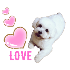 ❤️樂❤️毛❤️咘