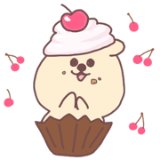 Quokka san Quokka san