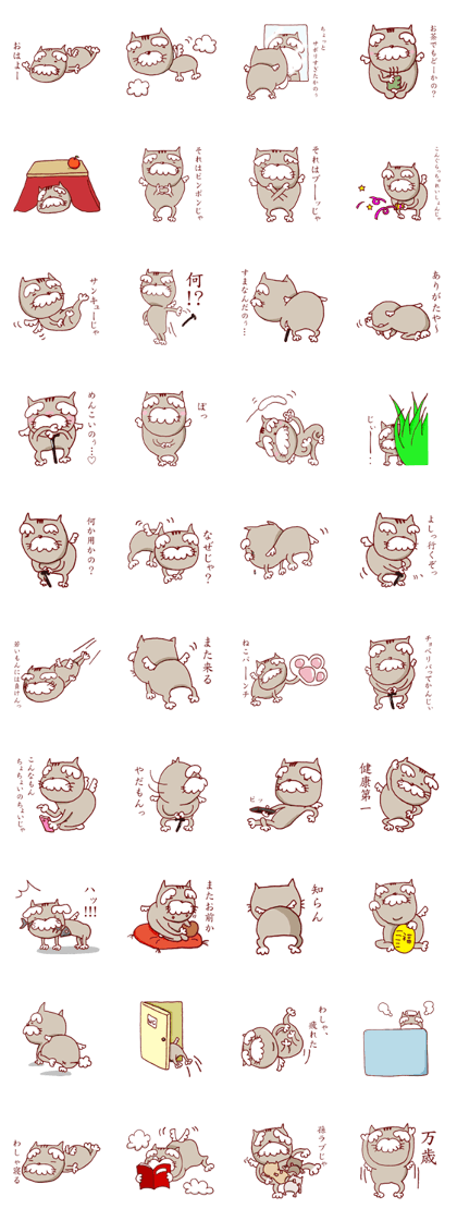 Flying cat old man Flying cat old man