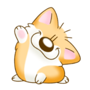 Corgi's sweet life Corgi's sweet life