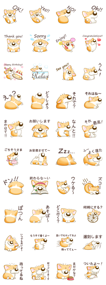 Corgi's sweet life Corgi's sweet life