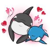 Dolphin's Daily Life Dolphin's Daily Life