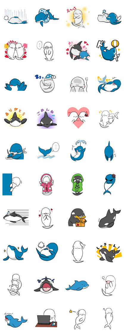 Dolphin's Daily Life Dolphin's Daily Life