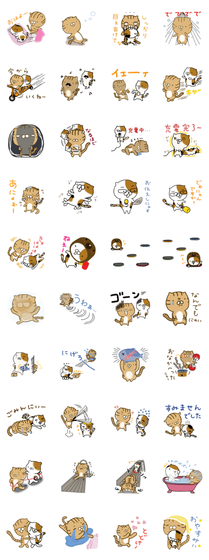 Torakichi's fun every day