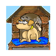 Labrador Retriever : leo's life.