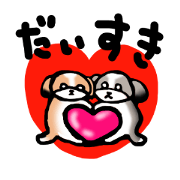 The 1day of Shih Tzu 2(Japanese)