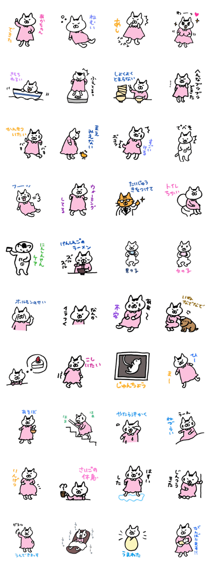 expect cat expect cat