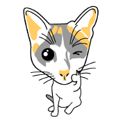 Maew Maew Thai Cat Maew Maew Thai Cat