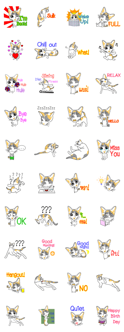 Maew Maew Thai Cat Maew Maew Thai Cat