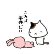 AKITArabbit&TOKYOcat