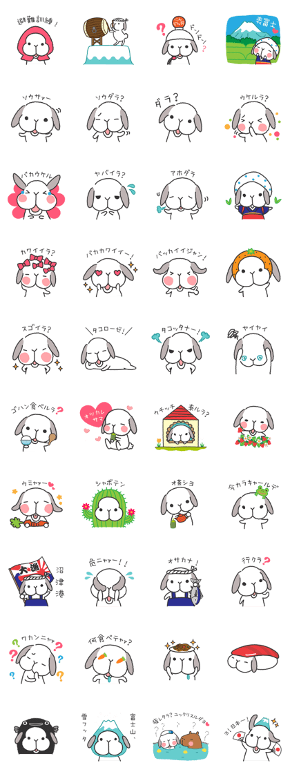 Lop Bunny, SHARIKICHI ~in SHIZUOKA~